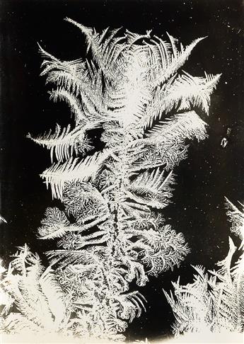 WILSON A. BENTLEY (1865-1931) Group of 6 photographs, comprising 3 images each from his Snowflakes and Ice crystals series.